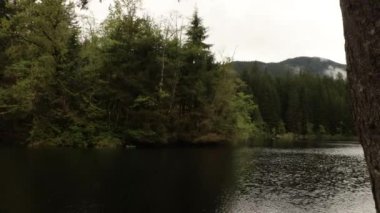 Dalgalanan gölün zamanı bulutlu bir günde yeşil ormanla çevrili.