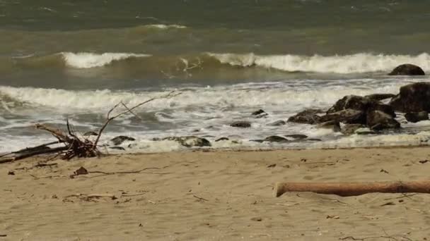 Хвилі Розбиваються Маленькі Скелі Піщаний Пляж Західному Узбережжі Канади — стокове відео