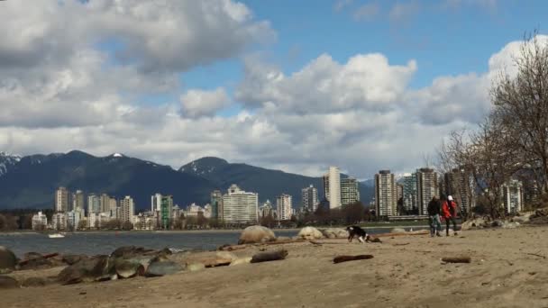 Догульщики Пляже Ванкувере Дауноуном Спине Солнечный Летний День — стоковое видео