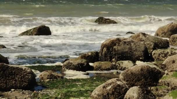 波の近くで海岸沿いの岩にぶつかった — ストック動画