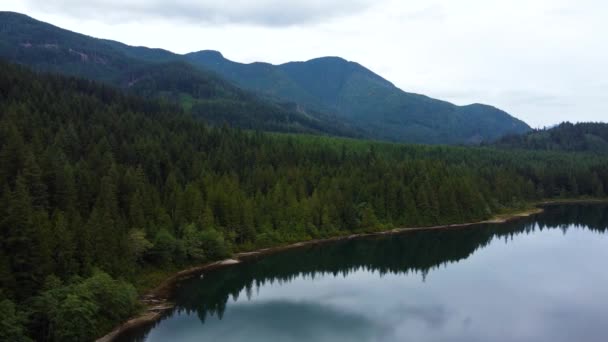 Drone Disparo Lago Reflectante Bosque Verde Alrededor Colina Una Espalda — Vídeo de stock