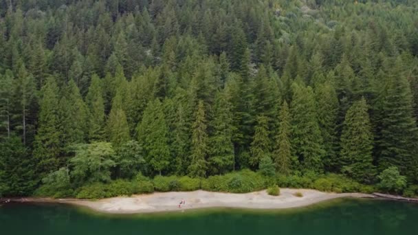 Aerial View Sandy Beach Lake Surrounded Fir Trees Forest — Stock Video