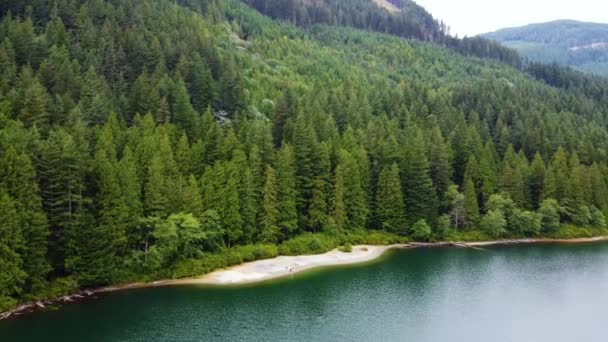 Αεροφωτογραφία Της Μικρής Παραλίας Μια Λίμνη Έλατο Δάσος Γύρω Από — Αρχείο Βίντεο