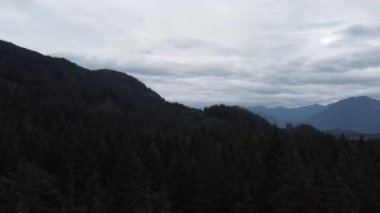 Dağların ve orman kameralarının geniş görüntüsünden yeryüzüne doğru ilerleyin.