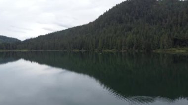Yeşil ormanla çevrili sakin göl üzerindeki kamera hareketlerini büyüt.
