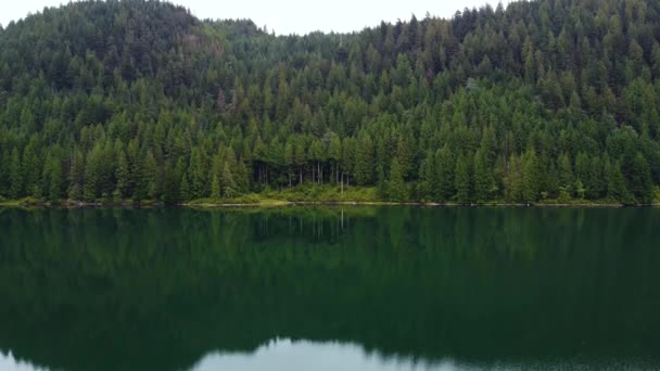 Vue Aérienne Lente Piédestal Lac Clair Forêt Pins Verts Sur — Video