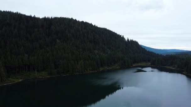 Drone Disparo Pequeñas Ondas Lago Claro Bosque Pinos Verdes Orilla — Vídeo de stock