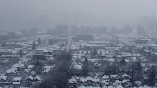 Volar Sobre Techos Grandes Árboles Cubiertos Nieve Nieve Está Cayendo — Vídeo de stock