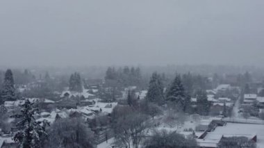Vancouver 'da kışın ağaçlar önünde kar taneleri ve ağaçların arkasında evler