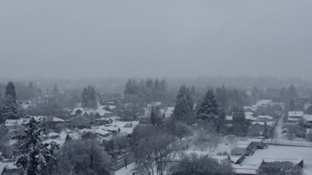 Télen Fák Vancouverben Hópelyhekkel Ház Előtt Házak Fák Mögött — Stock videók