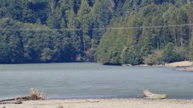 Önünde yeşil orman ve elektrik teli olan yavaşça akan nehir.