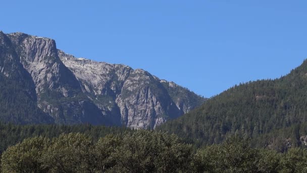Montañas Rocosas Canadienses Colinas Con Abetos Árboles Verdes Día Soleado — Vídeos de Stock