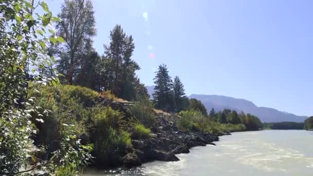 Orilla Rocosa Del Río Con Arbustos Verdes Agua Arremolinada Rápido — Vídeo de stock