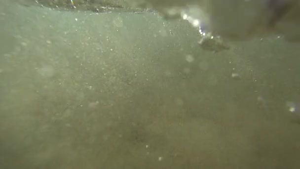 Dive Depths Ocean Discover Underwater Life Slow Footage — Stock video