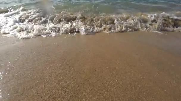 Okyanus Güneşte Parlar Yavaş Çekimde Her Dalgayı Dalgayı Yakalar — Stok video