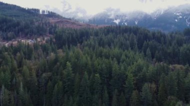 Sisli dağlarla, büyüleyici evlerle ve yemyeşil ormanlarla süslenmiş vadiden geçen büyüleyici sis manzarası.