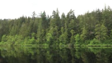 Göksel orman yansıması: Bulutlu gün gölü zamanı