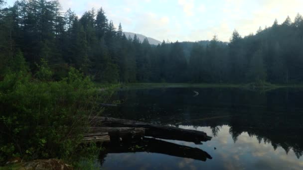 Eaux couvertes de brouillard : timelapse de forêt brumeuse au bord du lac