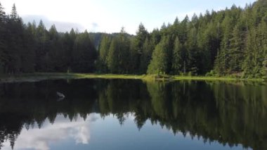 Hava sükuneti. Güneşli bir günde Kanada 'nın gölü, ormanı ve yeşil tepeleri üzerinde uçuyor.