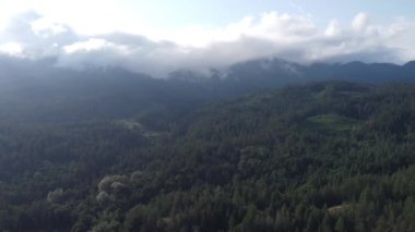 Güneşli yeşillikler: BC 'nin orman ve tepelerinin hava perspektifleri