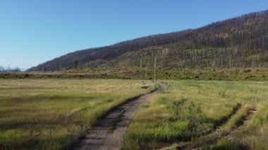 Büyüme Vadisi: Okanagan 'ın canlanan manzarasının hava senfonisi.