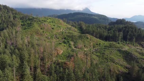 Unbekannte Horizonte Luftaufnahme Von Kanadas Saftig Grünen Hügeln Sonnigen Tagen — Stockvideo