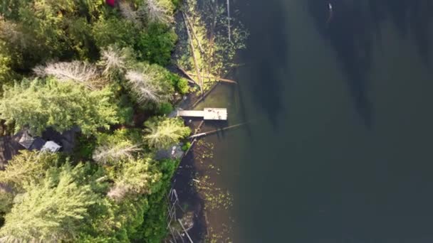 Sobre Florestas Voo Drone Revela Lago Colinas Verdes Canadá — Vídeo de Stock