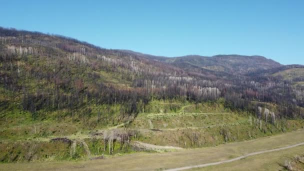 Okanagan Völgyének Légi Kilátásai Kiégették Erdőt Napsütéses Napon — Stock videók