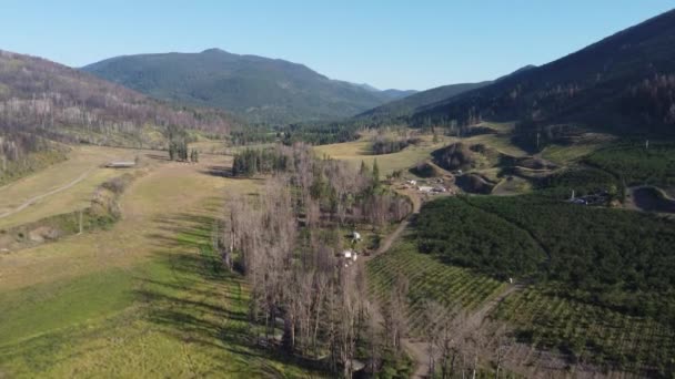 Vale Ensolarado Escapar Viagem Drone Através Paisagem Cênica Okanagan — Vídeo de Stock