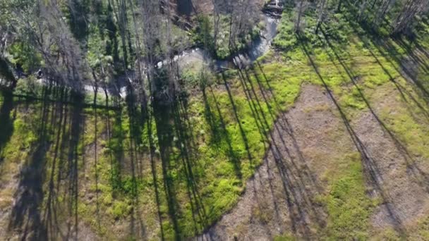 Paisajes Renovados Drone Explora Bosque Quemado Okanagan Pequeño Río — Vídeos de Stock