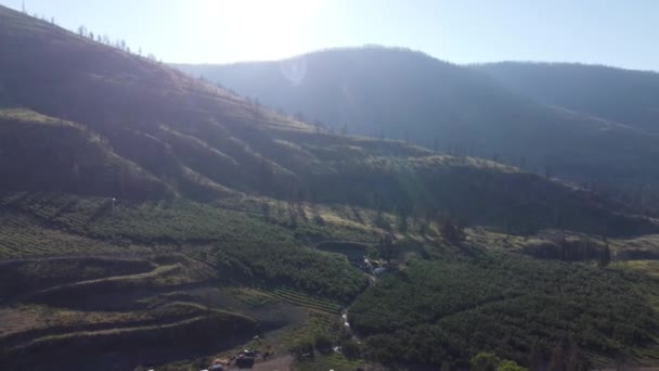 Tepenin Ötesinde Güneşli Ormanı Tepelerinin Nefes Kesici Insansız Hava Aracı — Stok video