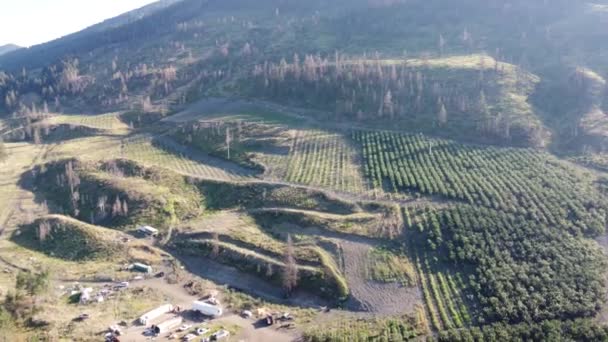 Sonniges Kirschenvergnügen Atemberaubende Drohnenaufnahmen Von Okanagans Üppiger Kirschfarm — Stockvideo