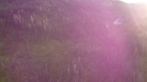Зачарованная Долина Завораживающие Кадры Беспилотника Отражающие Естественное Очарование Оканагана — стоковое видео