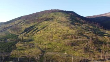 Büyüleyici Okanagan vadisi ve güneşli tarlaların insansız hava aracı görüntüleri