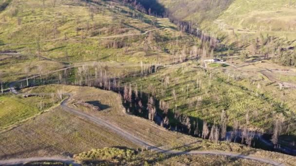 Doğanın Dayanıklılığı Drone Okanagan Yenilenen Manzarasına Bakış Açısı — Stok video