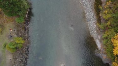Akan Uyum: Chilliwack Nehri 'nin sonbaharda doğal zarafetinin insansız hava aracı görüntüleri