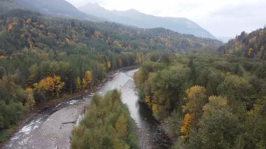 A River 's Tale: Drone' un sonbaharda Chilliwack Nehri 'nin hikayesi boyunca yolculuğu