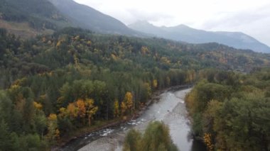 Chilliwack Nehri 'ni çevreleyen zengin, renkli ormanın hava perspektifleri