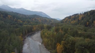 Vahşi doğa harikalar diyarı: Sonbahar ormanı ve nehir boyunca insansız hava aracı yolculuğu