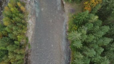 Chilliwack Nehri 'ndeki somon koşusu sırasında Drone' un gizli güzelliğe bakışı