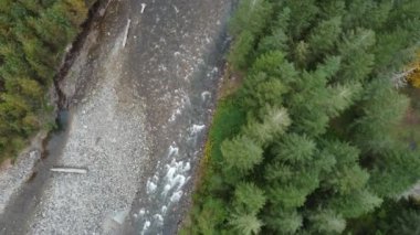 Somon mevsiminde Chilliwack nehrinin dinamik keşfi