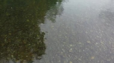 Nehir Yansımaları: Chilliwack nehrinin sonbaharda sakin güzelliğinin havadan görünüşü