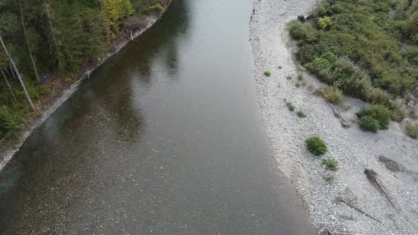 Flygfoto Chilliwack Floden Visar Upp Naturlig Skönhet Pulserande Omgivningar — Stockvideo