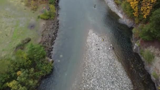 Widok Lotu Ptaka Rzekę Chilliwack Jesienią Żywy Las Rybaków — Wideo stockowe