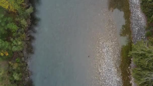 Symfonia Łososia Zapierające Dech Piersiach Widoki Rzekę Chilliwack Podczas Biegu — Wideo stockowe