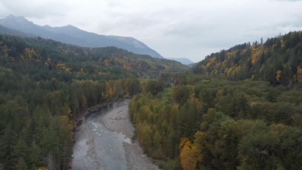 Kraina Dzikiej Przyrody Inspirująca Podróż Dronem Przez Jesienny Las Rzekę — Wideo stockowe