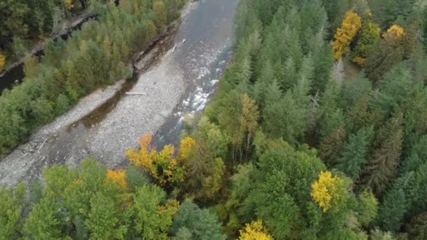 賑やかなチリワック川とカラフルな森のドローンの目線 ストック映像