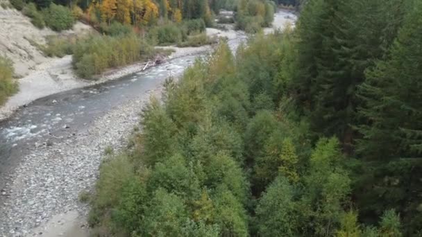 豊富なチリワック川とその活気ある森の秋の風景 ロイヤリティフリーのストック動画