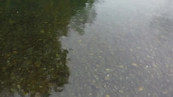 River Reflections Vue Aérienne Sur Beauté Tranquille Rivière Chilliwack Automne Clip Vidéo
