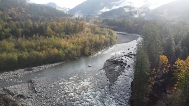 Autumn Artistry Antenne Des Pulsierenden Chilliwack River Und Seine Atemberaubende — Stockvideo